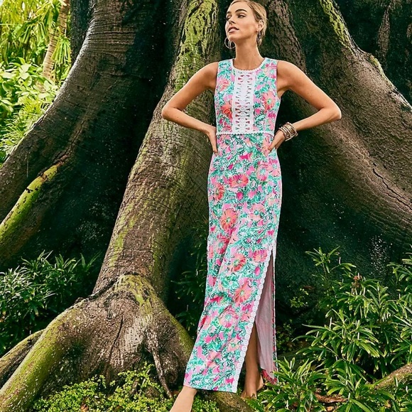 Lilly Pulitzer Pink and Green Floral Maxi Dress - Picture 7 of 15